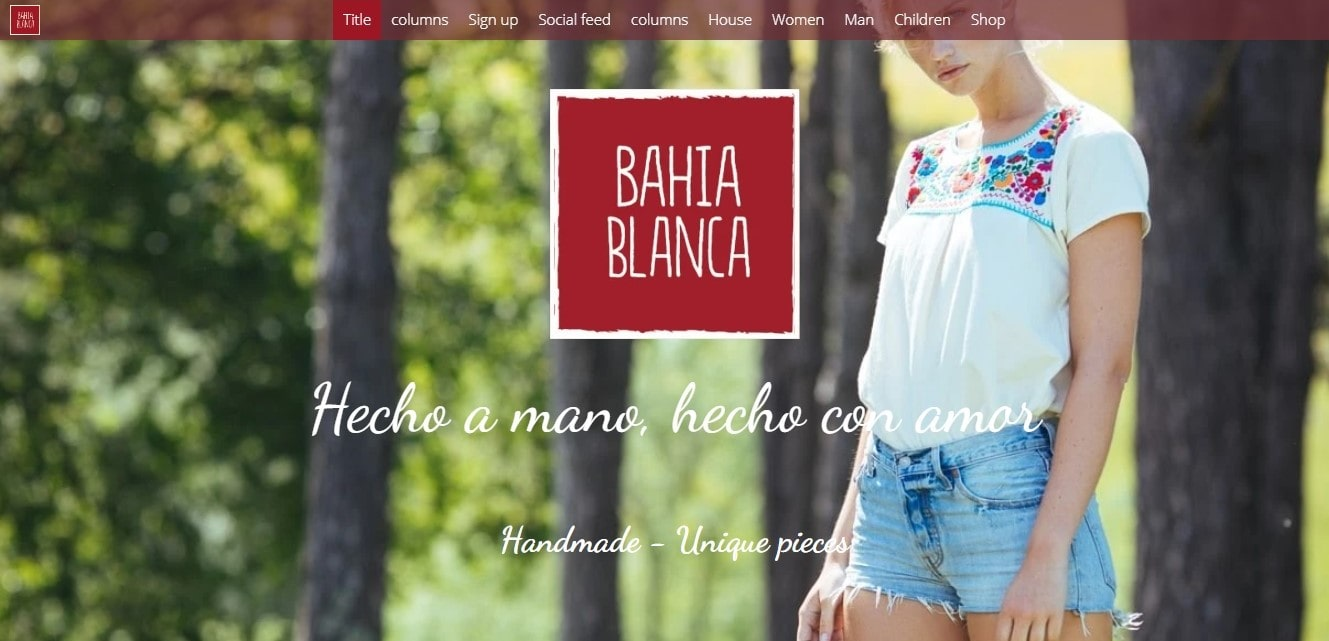 ecommerce website ecommerce website